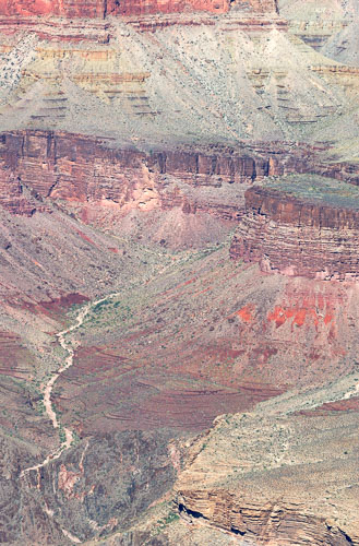 Arizona