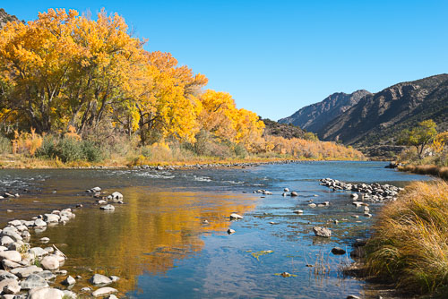 New Mexico