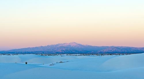 New Mexico