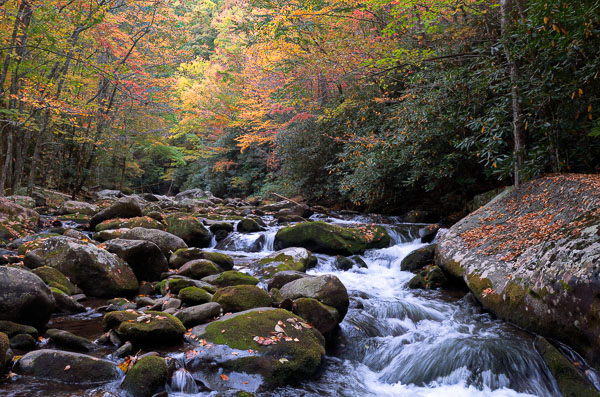 Smoky Mountains